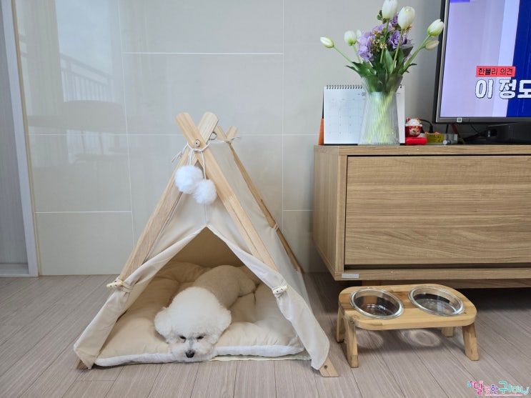 꽁냥꽁냥제이 원목 강아지 침대