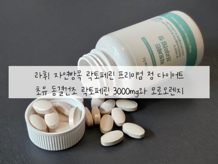 [라휘 자연방목 목초 락토페린 프리미엄 정] 자연방목으로 목초를 먹고 자란 소의 귀한 초유 동결건조 락토페린 3000mg와 모로오렌지 : 락토페린 다이어트