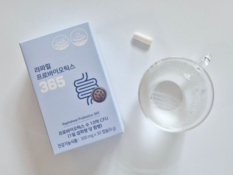 라파힐 프로바이오틱스365 직장인선물추천 유산균