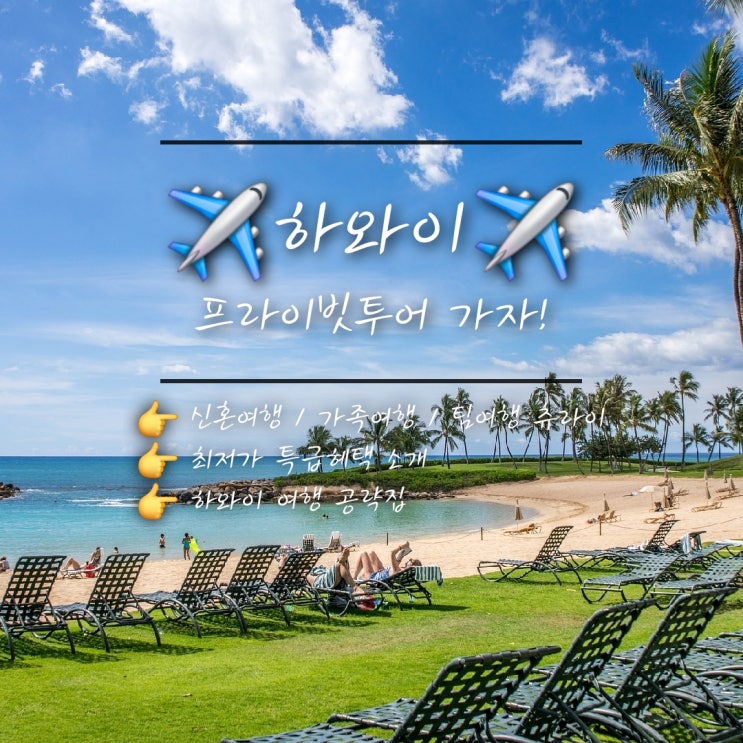 하와이 1일 프라이빗 투어 : 단 한팀만을 위한 투어코스 패키지 최저가 꿀팁