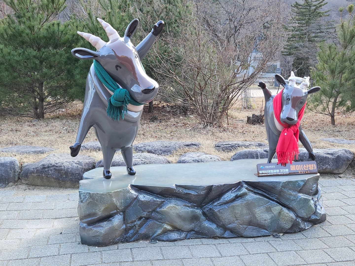 설악산 국립공원
#설악산 #설악산국립공원 #설악산국립공원🌲 #설악산국립공원🗻 #설악산국립공원🌳