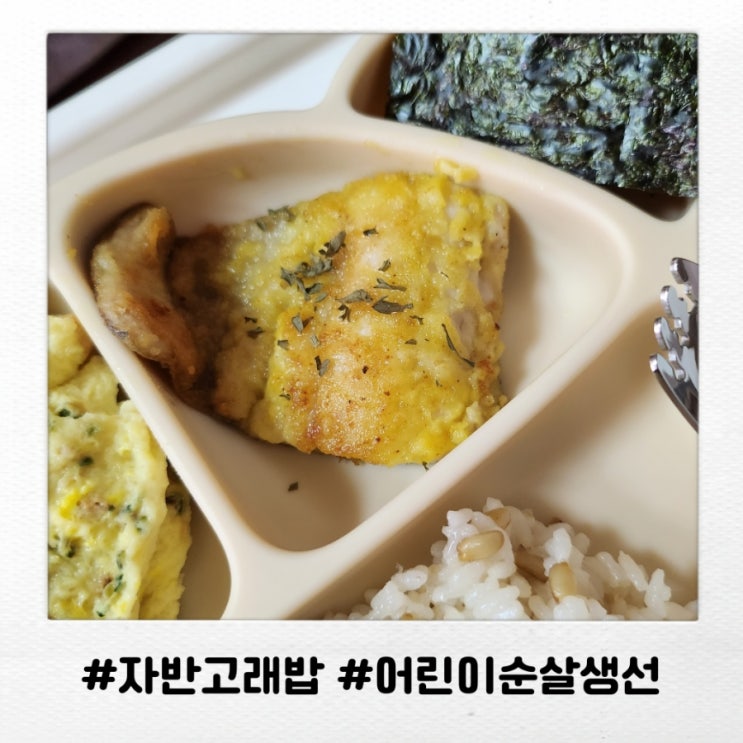 어린이순살생선 자반고래밥 방사능걱정없는 생선