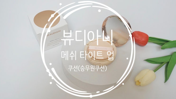 승무원쿠션 뷰디아니 메쉬 타이트 업 쿠션 얇게 밀착되는 커버쿠션팩트
