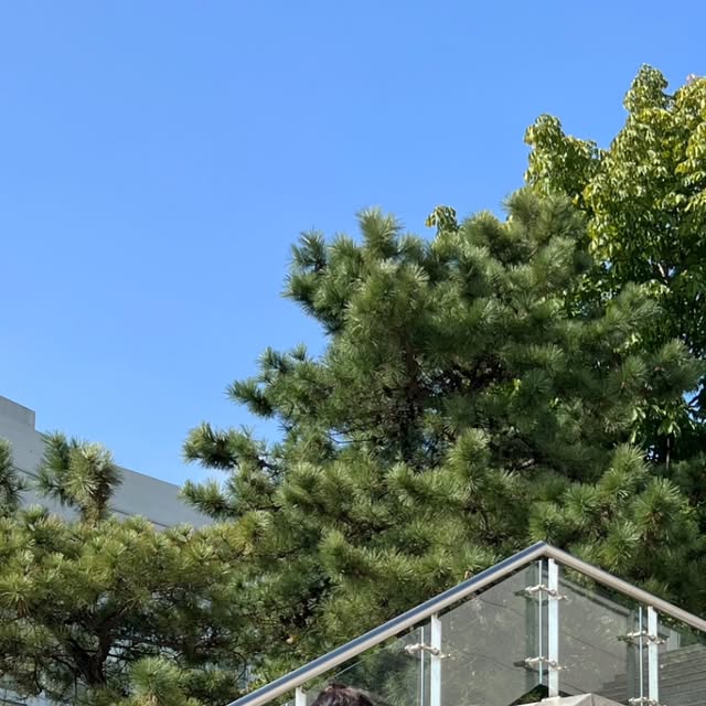 서형 on Instagram: "#광고 벌써 니트 꺼낸 사람 🙋‍♀️저요
가을맞이 🍂 스텐다드에러 니트로 스트릿룩😎 입어보기

#스탠다드에러 #STANDARDERROR #남여공용니트 #니트 #오버핏니트 #데일리룩 #니트데일리룩 #니트추천 #KNIT #ニート"