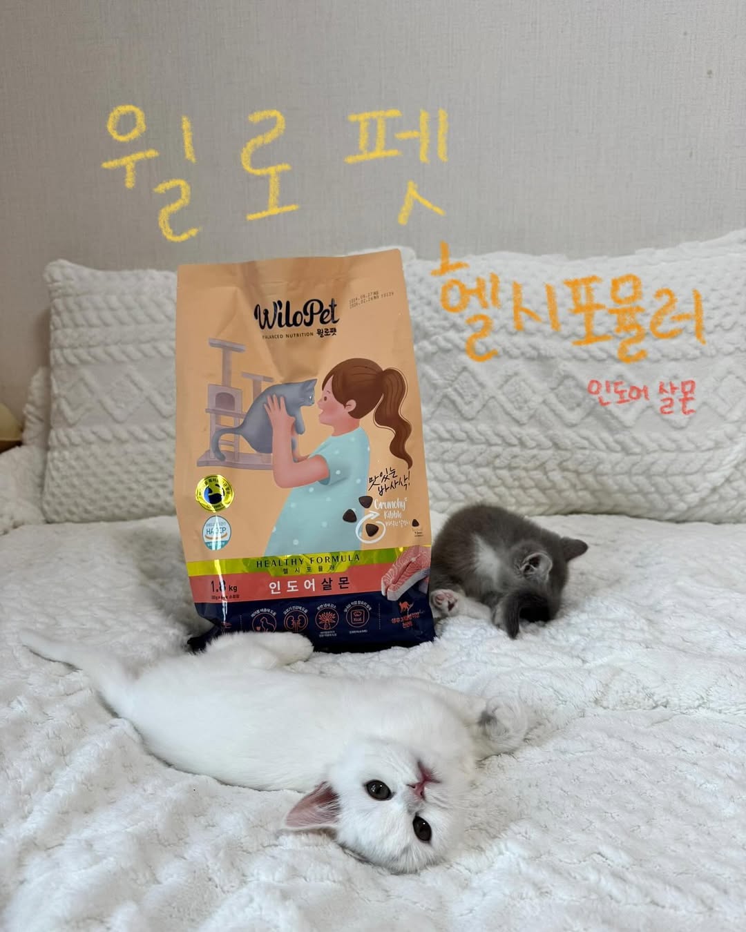 ⋆。˚ ♡ ₊˚ ෆ 베니 • 베이 ෆ ₊˚ ♡ ˚ 。 | #협찬 #제품제공 #윌로펫 #유한양행 #헬시포뮬러 베니와 베이가 유한양행의 펫 브랜드인 윌로펫에서 헬시포뮬러 인도어 살몬을 제공 받았어요!♥️ 집사님들! 실내 고양이는 실내 고양이용 맞춤 사료를 급여해야한다는 사실 알고 계셨나요?! 야외에서... | Instagram