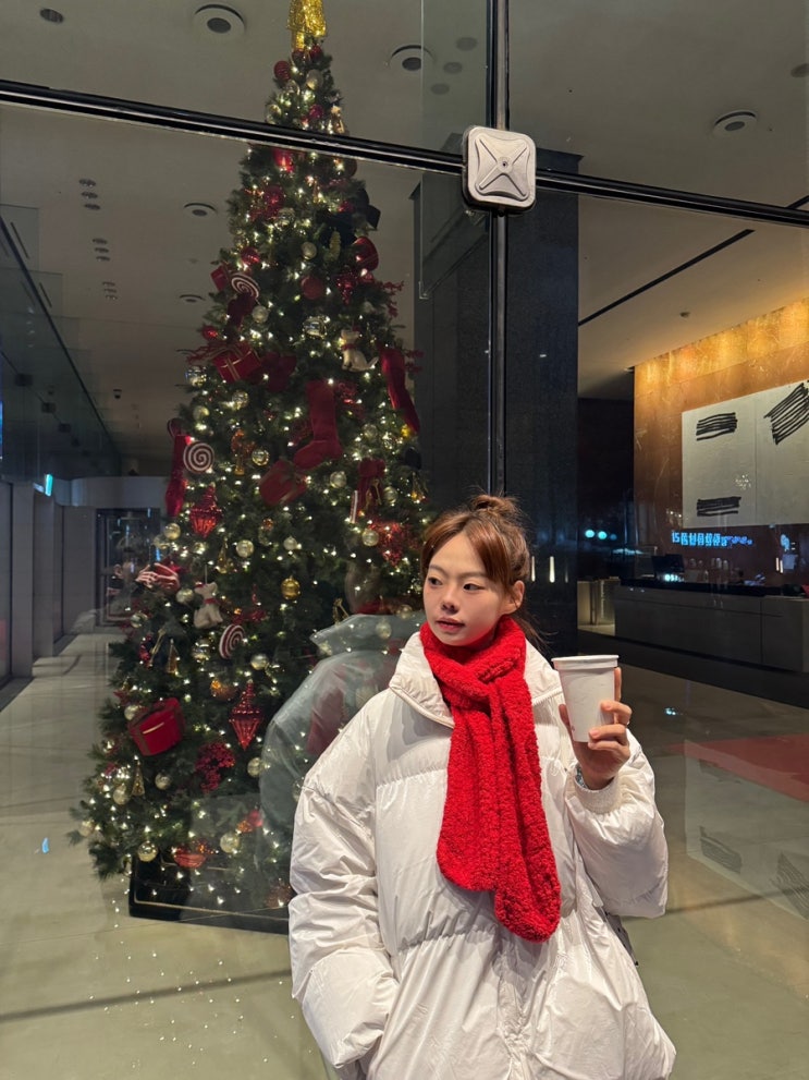 [유광 패딩 종결자✨ | 아이러니포르노 에센셜 글로시 하이넥 숏패딩]