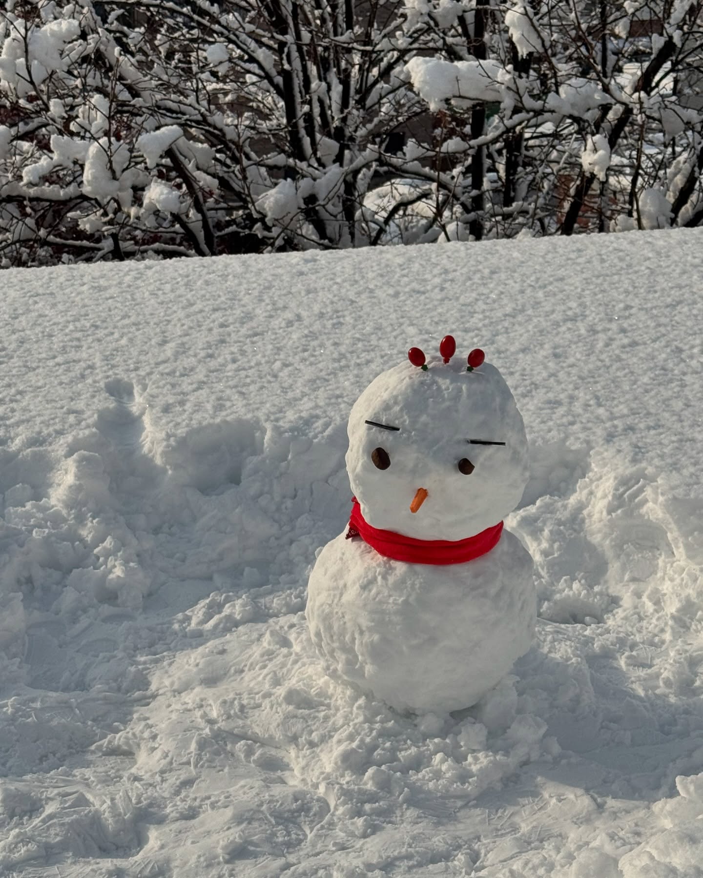 눈 뜨자마자 우리집 지붕 30cm 눈 정복하기✌🏻

#첫눈#눈사람#⛄️❄️ #우리집정원#아침운동끝✌️ 
#큰피해없기를기도합니다🙏