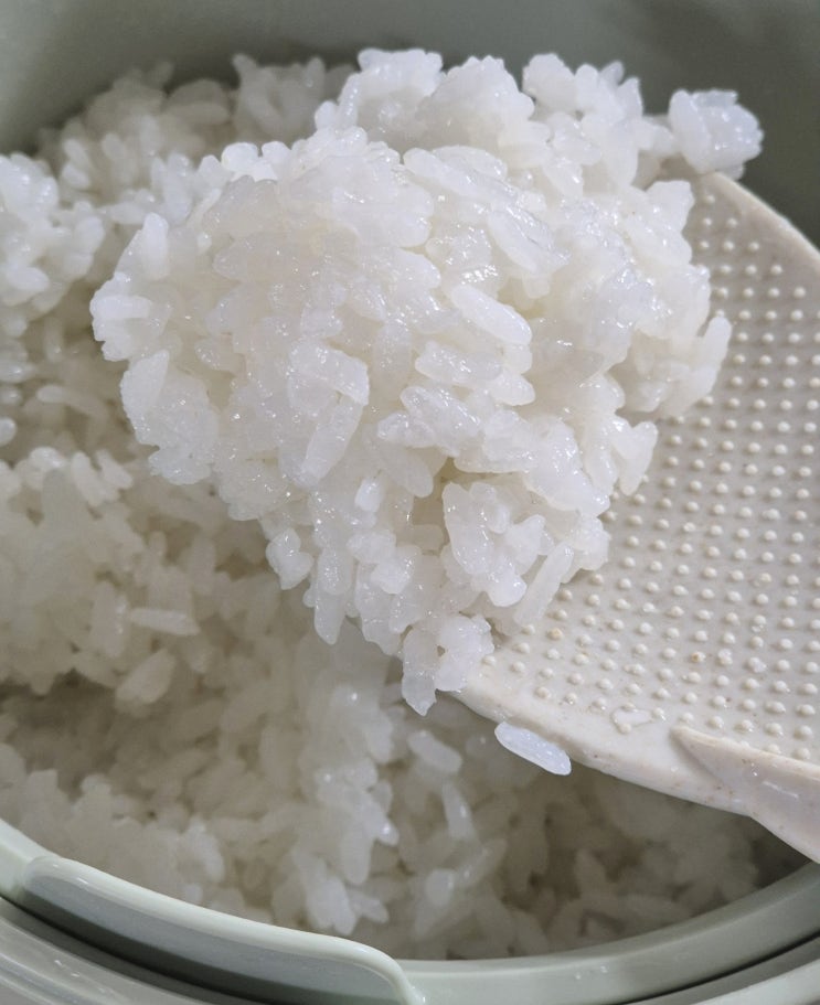 저당밥솥 칼로볼 백미 칼로리 반 줄여주는 전자레인지저당밥솥