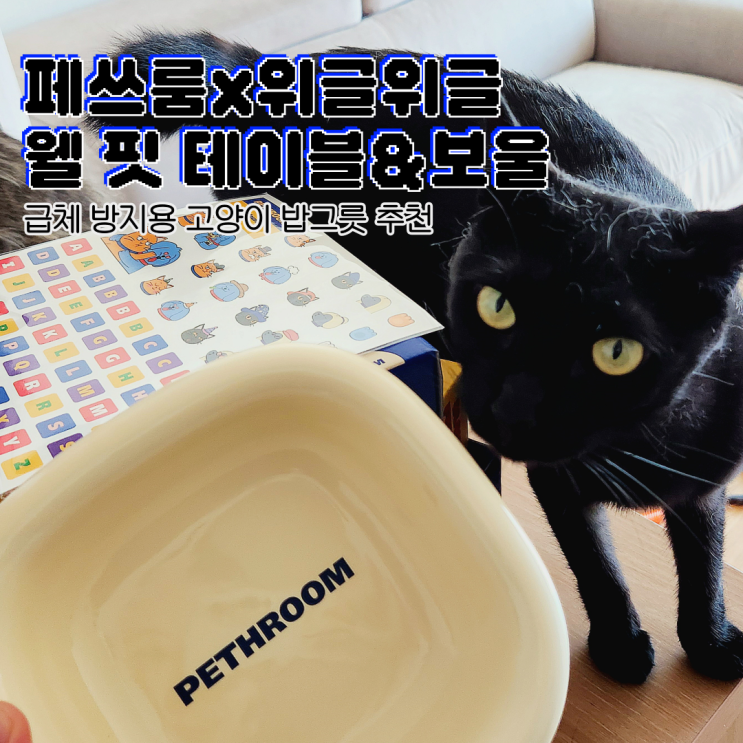 고양이밥그릇 급체방지식기 추천ㅣ페스룸 웰핏테이블앤보울