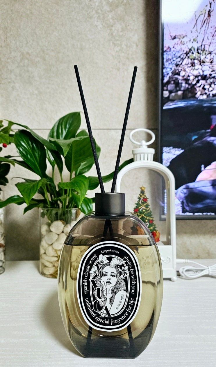 집들이선물 뷰카 센트 클래식 대용량 디퓨저추천해요