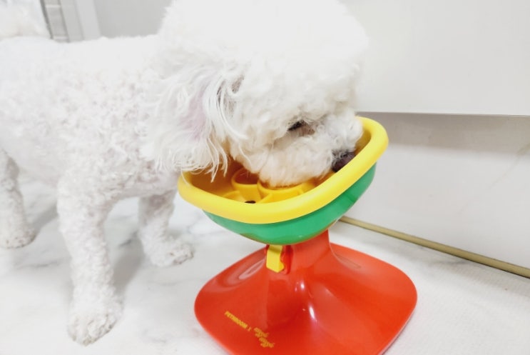 급하게 밥먹는 강아지를 위한 페스룸 강아지밥그릇
