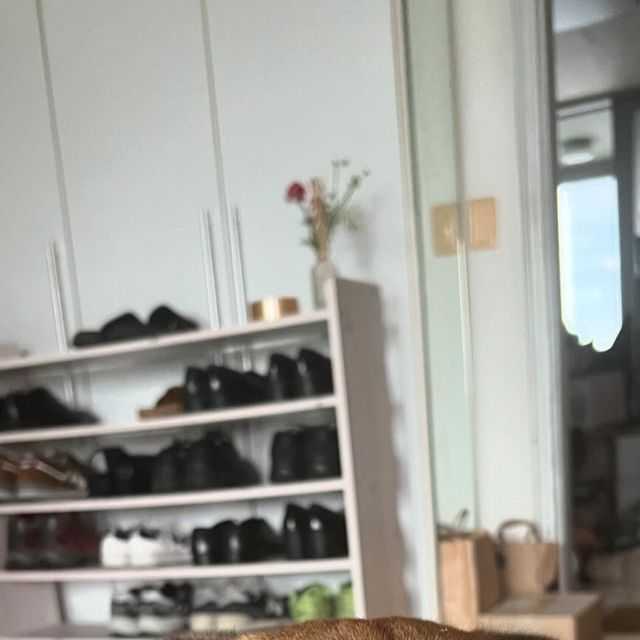 Lucia on Instagram: "#광고 안녕하새요~ 항복하개희희멍멍에서 강아지들이 좋아하는 오리목뼈가 나와서 저희집 강아지한테 먹여봤어요! 패키지 디자인이 깔끔하고 감각적인데다가 예뻐서 뜯으