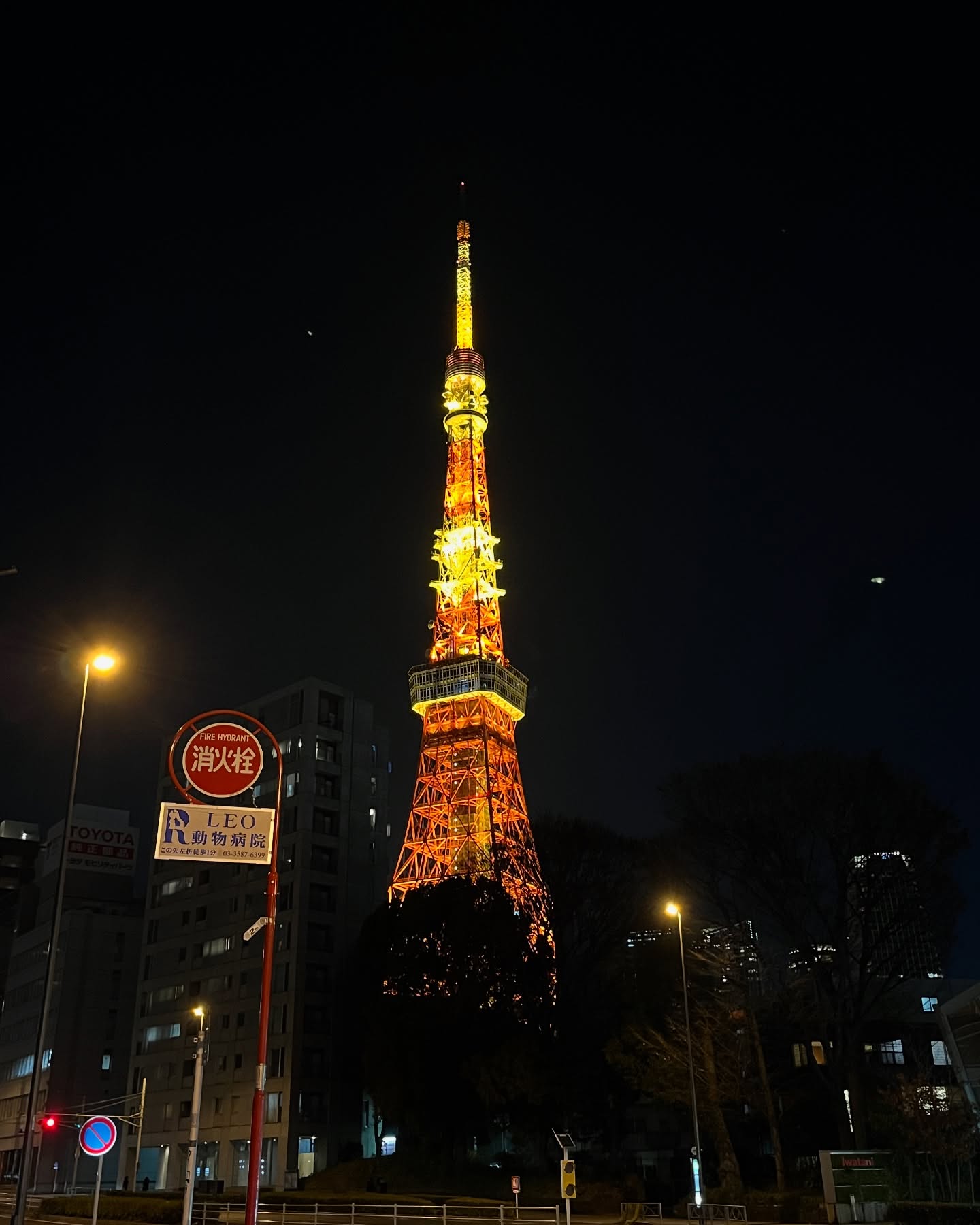 Tokyo dump ۶ৎ