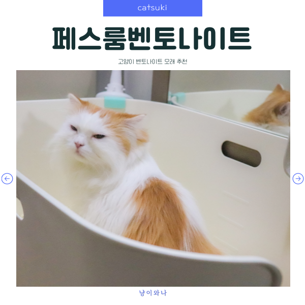 페스룸벤토나이트 빠른 흡수력으로 단단하게 응고되는 고양이 모래