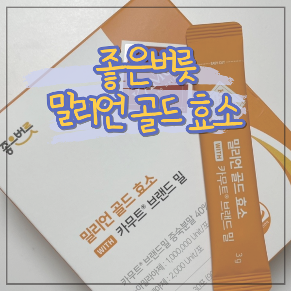 정제효소 없는 100만 역가 수치 좋은버릇 카무트 효소