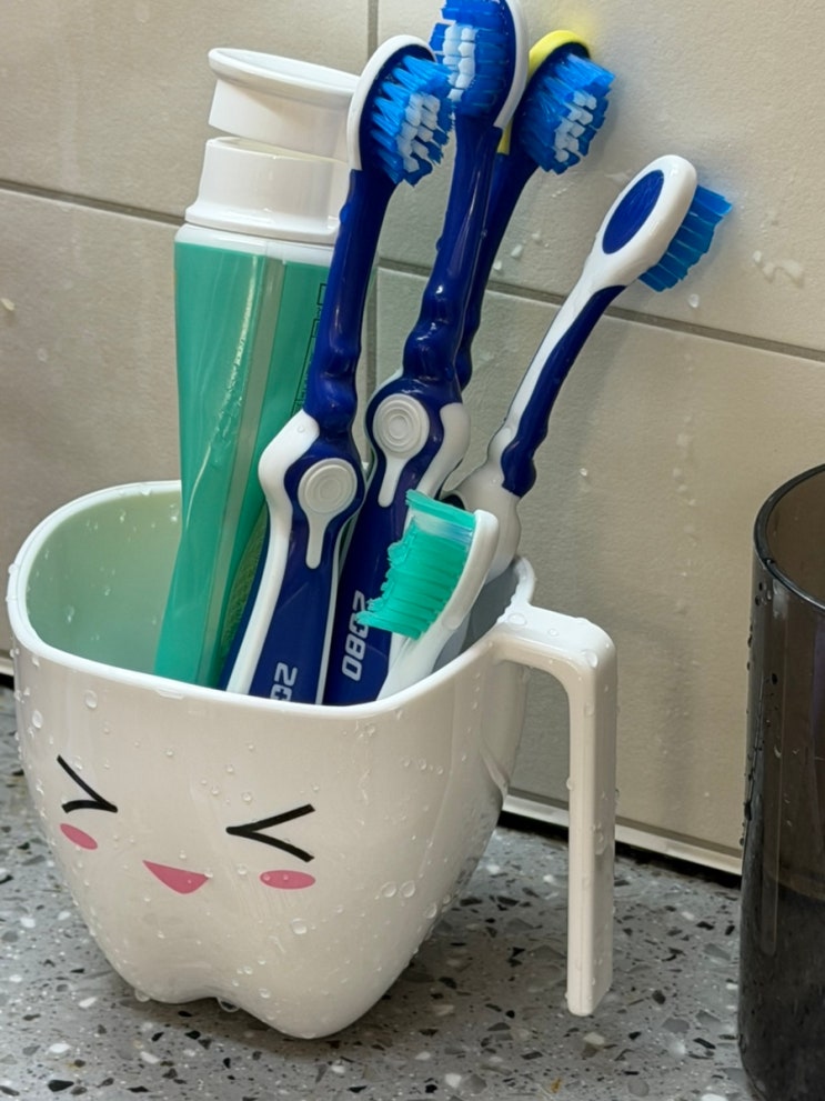 귀엽고 실용적인 양치컵, 몰라컵 어린이집 양치컵 추천