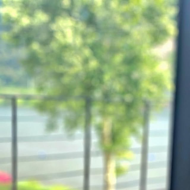 귀요워서 요미 on Instagram: "#광고

여긴 정말 또 와야지👍

남양주 애견동반카페 중 최고봉같아
이렇게 반려인들이 많이 모여있는 대형카페는 태어나 처음
다들 요미처럼 이런공간 찾아헤맨거겠지
규모도 엄청큰데 완전 펫 프렌들리 그 자체
강아지 데리고다니면 눈치보며 다니게되잖아 
여긴 그런게 1도없어 너무 편안!
음식맛도 훌륭! 커피만 마셔도 식사를해도 디저트를 먹어도 다 가능해서
친구랑 계속 감탄했다니까
좌석도 다양하고 뷰도 미쳤다.... 
한번 가본곳 다시 안가지만 여긴 꼭 또올거야 진짜류~~

#남양주카페#남양주카페리버나인#남양주베이커리카페#북한강카페#남양주애견동반카페"