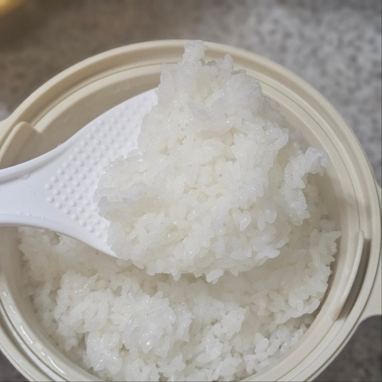 칼로볼 전자레인지저당밥솥으로 저탄수화물 식단하기
