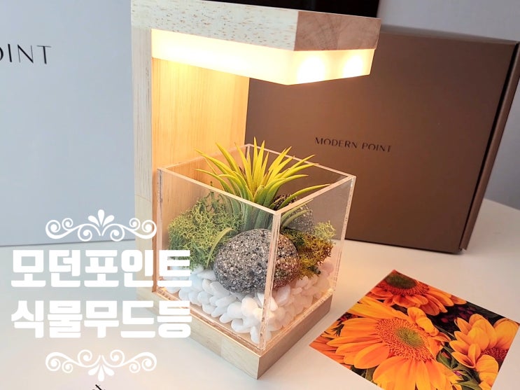 친구 집들이선물로 감각적인 모던포인트 식물무드등 플랜테리어