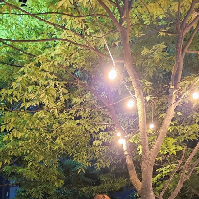 曳珠珠珠 on Instagram: "#광고💙🩶

허리부터 밑단까지 자연스럽게 떨어져서 다리 길~~~~~~~~~~~~~어보이는(?) 빈티지 더티 캣워싱 와이드 데님팬츠 빈티지블루
스탠다드에러 바지 왜 다 편안해....
빈티지 색감 잘 뽑아내서 다 갖구싶어

#스탠다드에러 #데님팬츠 #빈티지팬츠 #남여공용팬츠 #데님 #팬츠 #바지 #와이드바지 #워싱팬츠 #와이드팬츠 #데일리룩 #코디추천 #standarderror #denim #pants #wide #바지추천 #DenimPants"