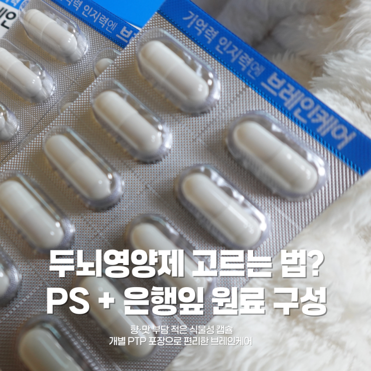 포스파티딜세린 분말 기반 두뇌영양제? 은행잎추출물 성분 구성까지   ✨