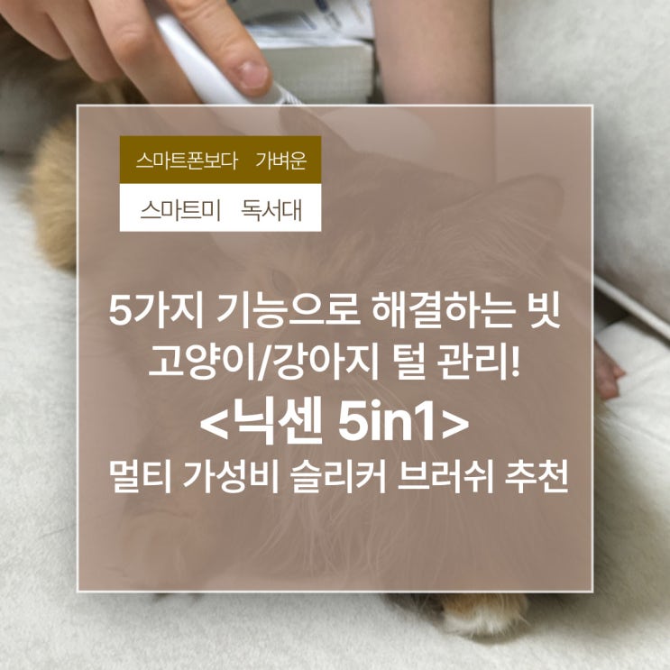 5가지 기능으로 해결하는 빗 고양이/강아지 털 관리! 닉센 5in1 멀티 가성비 슬리커 브러쉬 추천