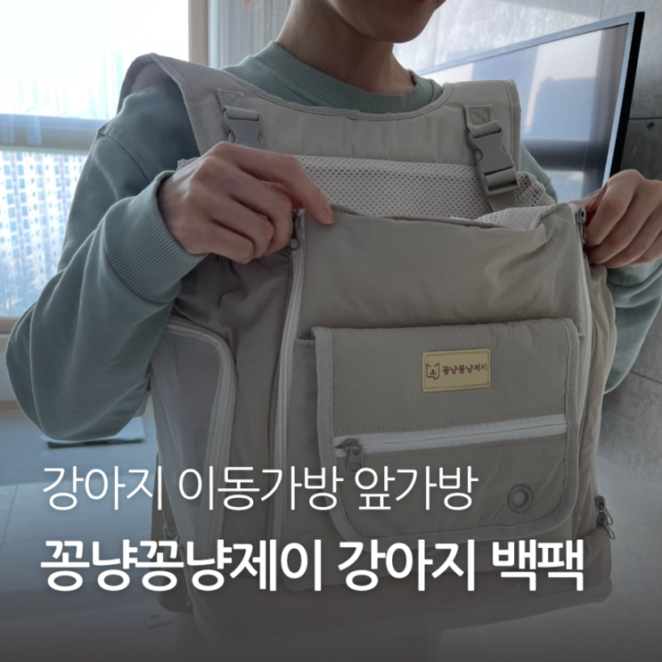 강아지 이동가방 추천 꽁냥꽁냥제이 강아지 백팩