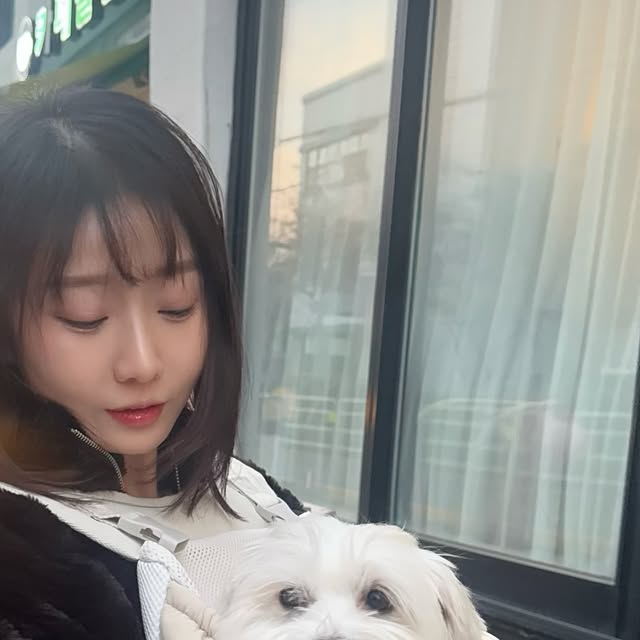 C R Y $ T A L on Instagram: "#광고 강율무 사랑해🤍🤍🤍 우리 율무는 팔로 알아주긴 너무 무거운 6키로... 그치만 귀여우니까 괜찮아. 털 찐 거야... 무거울 땐 이렇게 허리 지지대까지 붙어 있는