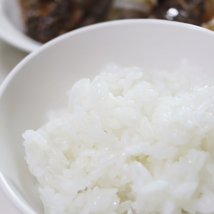 칼로볼 저당밥솥, 탄수화물 칼로리 줄여주는 전자레인지 밥솥