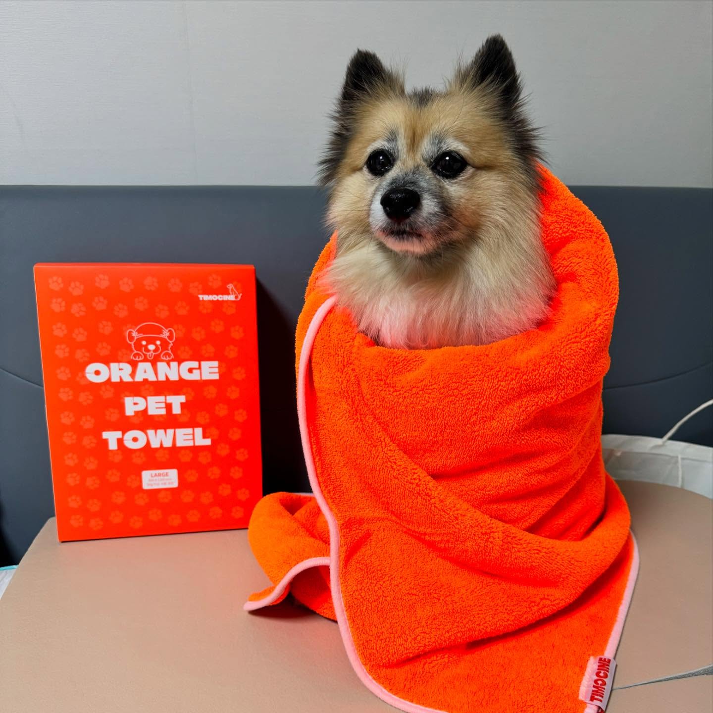#제품제공
#협찬

화사한 오렌지 컬러가 취향저격
🧡티모씨 오렌지 펫타올🧡

흡수력 좋은 티모씨 오렌지타올을 사용하고
목욕시간이 반으로 줄어들었어요 🫡

이중모 포메믹스 털뚱띠 샴이는 목욕후에 수건은 기본으로 3개씩 써야하는데 
오렌지 펫타올은 왕싸이즈 왕흡수력으로  한장으로 츙분하니까 너무너무 편리했어요!! ❤

• 🧡부드러운 초극세사 제품
• 🧡높은 흡수력
• 🧡드라이시간 단축
• 🧡 꼼꼼한 바이어스 바감
• 🧡 다양한 사이즈에 합리적인 가격까지

#티모씨네 #강아지수건 #펫타올 #강아지타올 
#강아지타월 #펫타월 #강아지목욕타올 #강아지목욕수건 #고양이수건 #강아지목욕 #고양이목욕