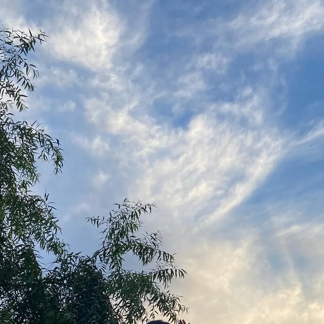 신유 SHIN U on Instagram: "즐추임당
저는요 즐과제 중 임당"