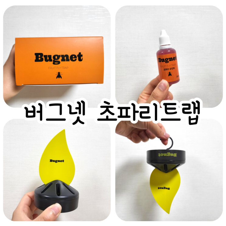 버그넷 초파리 트랩 사용 후기 🪰