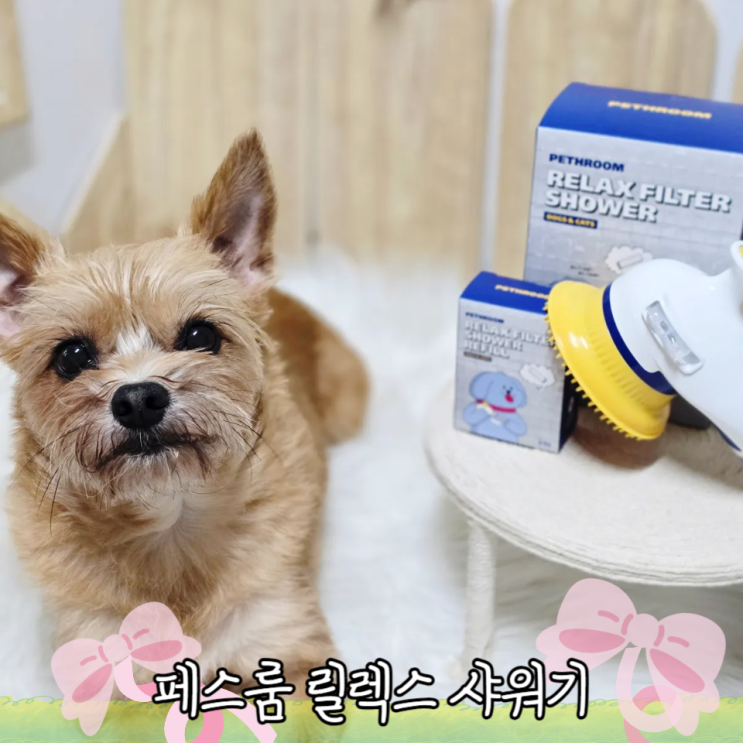 강아지가 있다면 이거 꿀템!! / 페스룸 릴렉스 필터샤워기