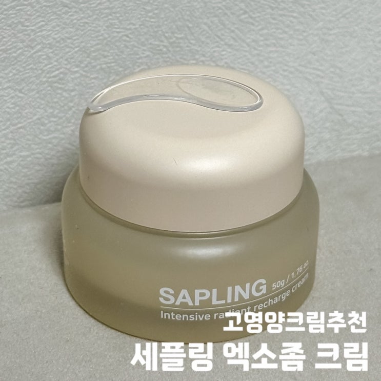 겨울철 속광 올려주는 고영양크림 추천 : 세플링 엑소좀 크림 효능