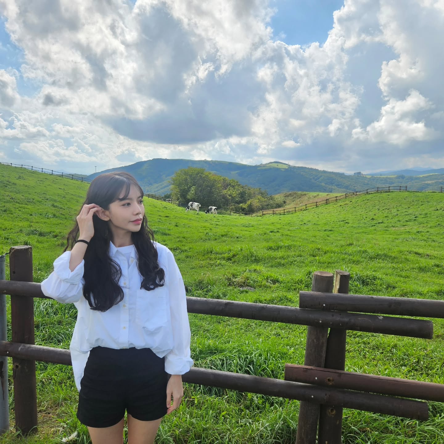 양이 이렇게 .. 🐑🐏 (생략)
즐거웠던 강릉여행이어찌 🤍 

#강릉 #강릉여행 #대관령 #대관령양떼목장