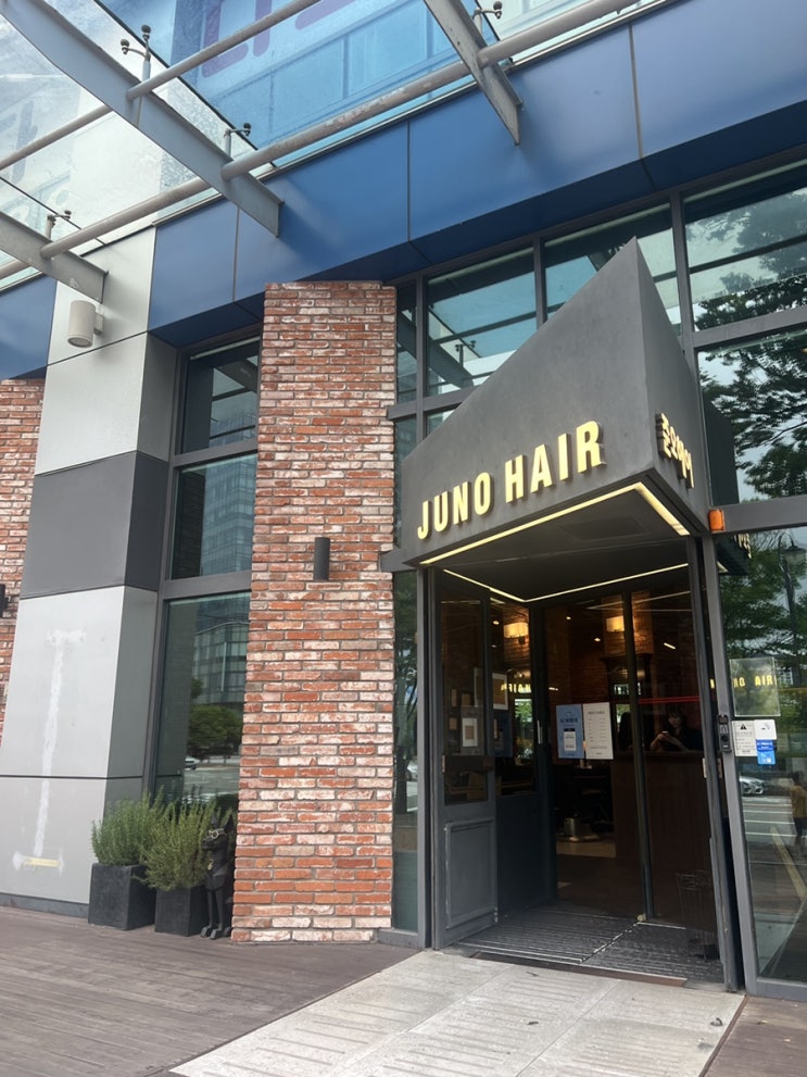 해운대 미용실 준오헤어 센텀시티역점 블루블랙 염색성공