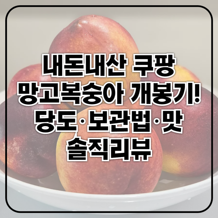 내돈내산 황금빛 망고복숭아 맛후기부터 보관 꿀팁까지 총정리! (쿠팡 과채아빠)