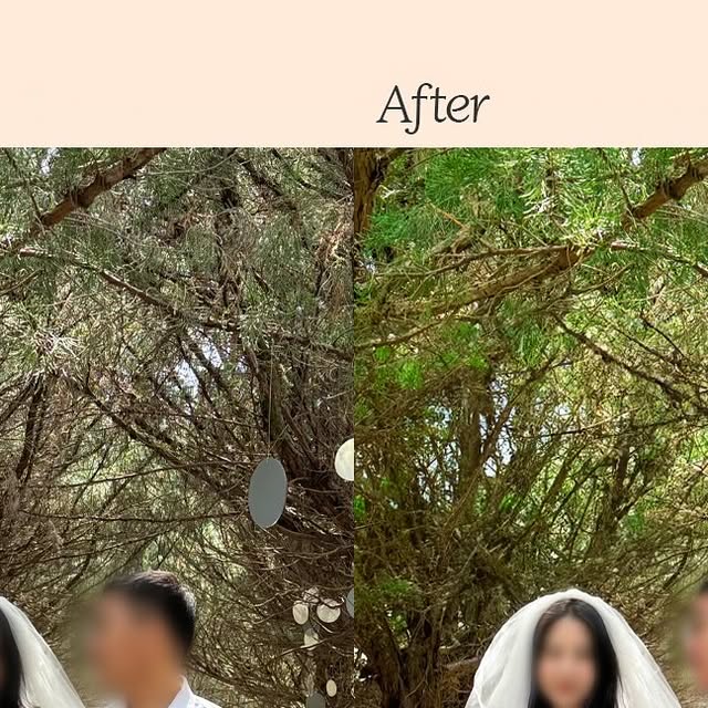 Dayoung on Instagram: "📸 #웨딩보정 #웨딩보정업체 #긴급보정업체 #사설보정업체 #야외촬영보정 #웨딩사진보정 #본식사진보정 #웨딩보정후기

결혼식을 두달안남기고 준비하는...! 완전히 급한데, 드디어 보정본이 완성되었어요✨ 무엇보다 억지스럽지 않고 ”원래 이렇게 찍힌 듯한“ 자연스러움이 너무 마음에 들어요.

블루밍데이에서 받은 한 컷 쿠폰까지 덤으로💌
웨딩 촬영이나 본식 사진 보정을 고민하시는 분들께 진심으로 추천드립니다.
마지막 디테일이 결혼 사진의 완성도를 좌우한다는 걸 이번에 깨달았어요.

📍 저는 @blooming_day_s2에서 진행했어요.
후회 없는 선택, 만족도 100%💖"