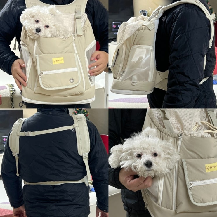 강아지 이동가방! 꽁냥꽁냥제이 강아지 앞가방 강아지 이동 가방 백팩 고양이 이동장 캐리