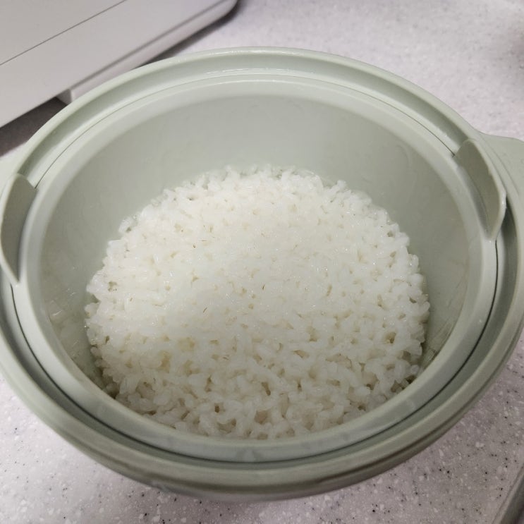 저당밥솥 칼로볼 전자렌지로 저당밥 만들기
