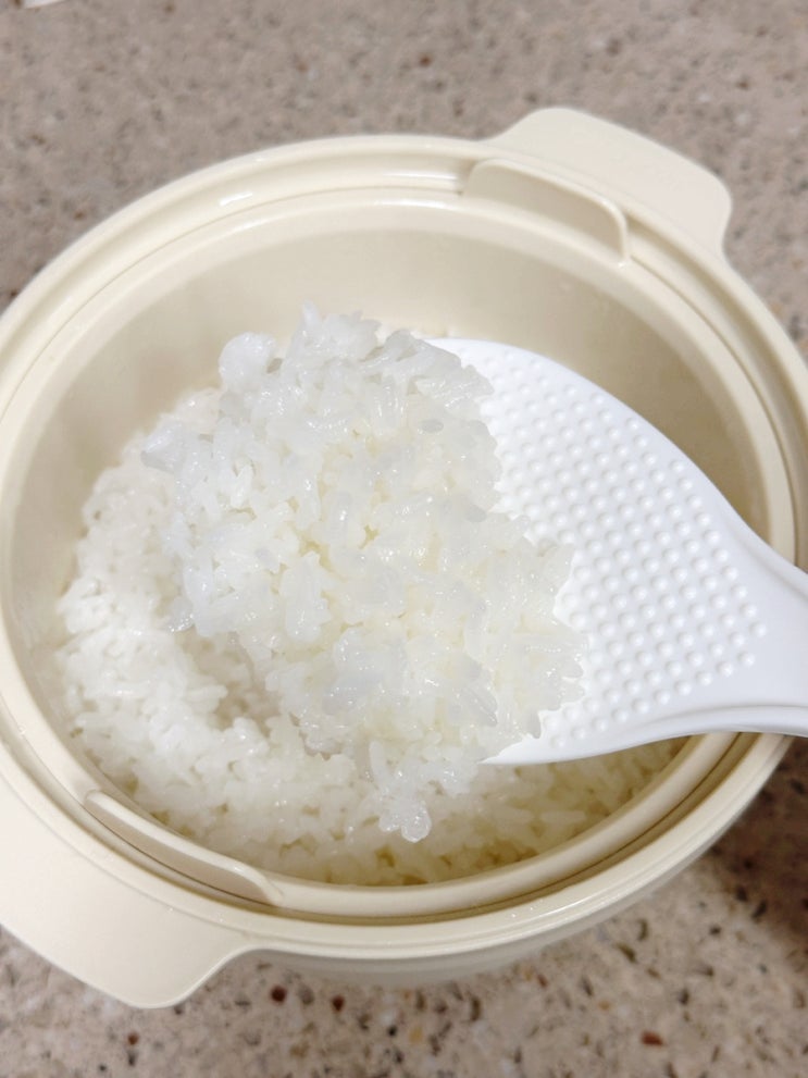 전자레인지밥솥 칼로볼 유아식 아기밥 이유식밥솥