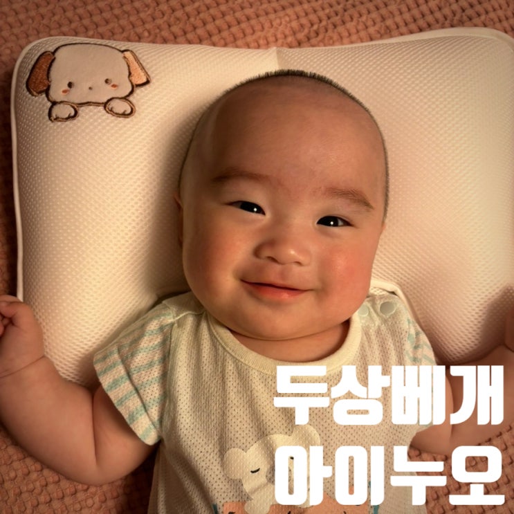 두상베개 출산선물 아이누오 아기베개 단두증예방 첫째부터 둘째까지 선택한 베개