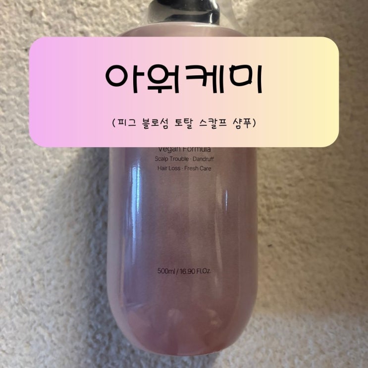 지성두피 고민 해결! 비건 탈모샴푸 추천 아워케미 피그 블로섬 토탈 스칼프 샴푸 사용 후기