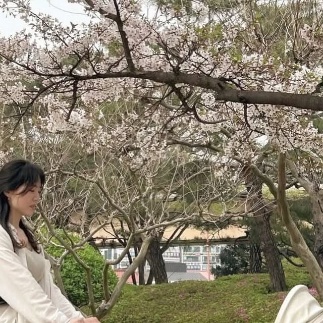 𝗥𝗔𝗗𝗔 | 육아 · 리빙 · 아이랑여행 on Instagram: "#협찬

이번 주말에 벚꽃놀이 많이 가셨더라구요😆
저도 이번 주말 내내 지오니랑 벚꽃 구경하고 왔어요🌸

새 유모차 태우고 꽃구경했는데
지오니도 편한지 꽃보다 잠들었네요,,🥹

화이트와 베이지조합이 정말 고급지고 이쁘지 않나요?🙈🤎
봄 나들이에 어울리는 디자인, 색감이라
보자마자 너무 이뻐서 반했어요😭

절충형유모차와 트라이크 장점을 합친 휴대용유모차라서
기능도 좋아서 넘 마음에 들어요,,🤎

외출하면서 360도 회전으로 앞보기, 뒤보기가 가능하고
원터치 폴딩으로 외출 시 손쉽게 들고 다닐 수 있는 점은
가장 좋았는데요🫢

유모차 인증받은 검증된 유모차인 에이블코지샤인🤎
장점들이 많아서 릴스로도 자세한 후기 담아볼게요!🤍

#제품제공 @able_trike_official"