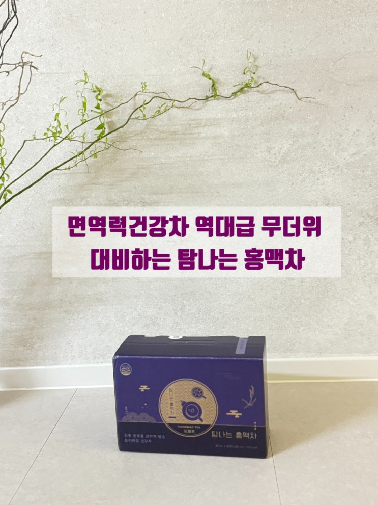면역력건강차 역대급 무더위 대비하는 탐나는 홍맥차