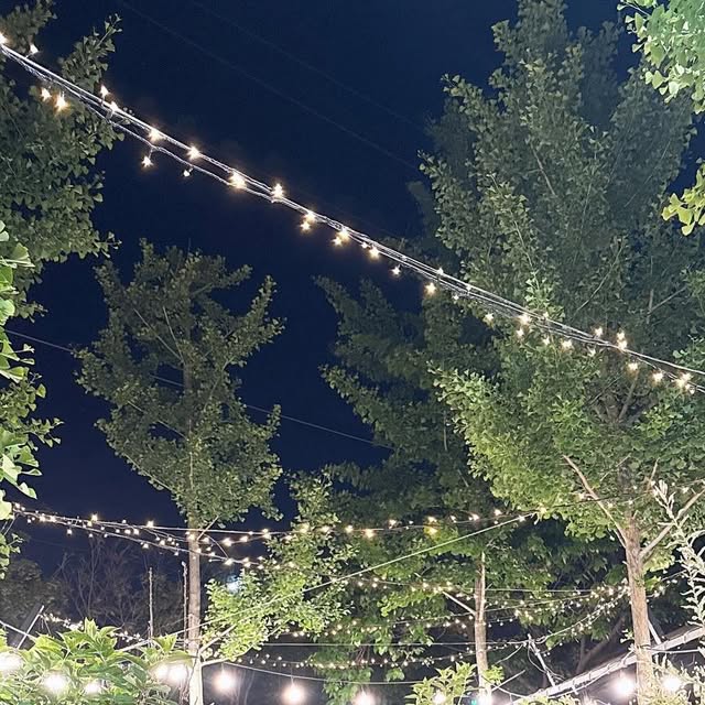 수딩🔮 on Instagram: "#협찬
📍 파크오브드림 글램핑
충남 공주 감성 글램핑의 끝판왕…💫
Styling Camp House + Smoke Bar.B.Q 조합은
진심 추천합니다!
1️⃣ The Farm
인테리어가 너무 예뻐요🐓🌼 감성 소품 만빵!
거기에 아이들이 좋아할만한 체험프로그램 한가득-
토끼밥 주기, 호박볼링, 간식만들기 체험 등등
아이들이 너무너무 신나고 재밌어해요!
2️⃣ 테이블 세팅 & BBQ
테이블은 내 취향대로 스타일링!
훈연 바베큐는 고기 셋팅만 하면 2시간 자동 조리🍖
그 시간 동안 사진 찍고 놀기 딱~!
3️⃣ 고양이 친구들🐱
사람 좋아하는 냥이들 덕분에 더 따뜻했던 하루💛
넘나 순하고 귀엽고 애교만빵이에요!
4️⃣ 계곡 힐링타임💦
글램핑장 옆 계곡에서 발 담그고 여름 만끽!
🛋️ 스타일링 캠프 하우스 내부도 감성 끝판왕!
보헤미안 무드 소품으로 예쁘게 꾸며보고,
테이블 하나도 직접 연출할 수 있어요✨

✔️ 다른 곳과 다른 점?
• 스타일링 직접 가능
• 셀프 훈연 BBQ라 고기 기다리며 놀 수 있음
• 고양이 + 계곡 + 감성템까지 한 번에!
📍 위치
충남 공주시 반포면 동학사1로 46
.
.
.
.
.
#파크오브드림 #글램핑 #키즈카페 #글램핑장 #세종글램핑 #먹스타그램 #맛스타그램 #오늘의식사 #일상 #일상스타그램 #인플루언서 #고기스타그램 #고기는맛있다 #공주글램핑 #스타일링캠프하우스 #훈연바베큐 #감성캠핑 #글램핑추천 #셀프스타일링 #계곡캠핑 #고양이"
