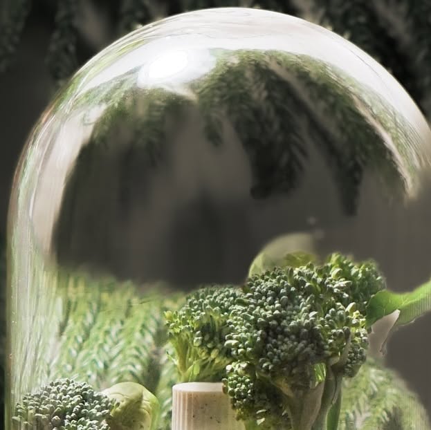Mona 모나 ✨ DIY•homestyling on Instagram: "#Gift 
🥦슈퍼그린스 히알루B5 소프트닝 에멀전 + farmRx 체험키트🎁 

비건 더마 스킨케어, 팜알엑스의 제품들 이벤트에 당첨되어 사용해보게 되었어요. 히알루론산, 비타민은 제가 요즘 제일 관심있는 기능 성분들이에요. 계절이 겨울인만큼 조금만 방심해도 건조해서 쉽게 엉망이 되어버리거든요. 수부지 피부라서 피부 장벽과 수분에 특히 신경쓰이는 요즘. 사용해보니 촉촉하고 향도 은은해서 좋았어요. 
브로콜리, 방울양배추, 파인애플 등 친숙한 성분 재료들이라서 기분좋게 사용할 수 있는 비건 화장품인거같아요.🌱

#비건화장품 #팜알엑스 #히알루론산 #수분크림 #코스메틱 #코스메틱촬영 #코덕그램 #kcosmetics #girlscosmetics"