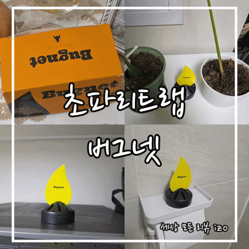 여름철 필수템 집안 벌레 잡는 초파리트랩 버그넷