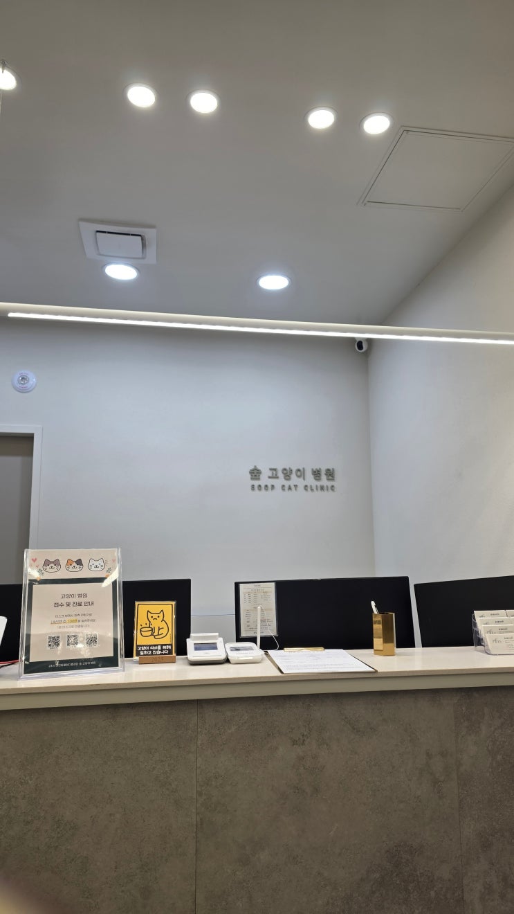 대전동물병원 추천 숲 동물의료센터