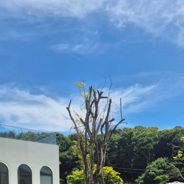 슬기 | 골프, 패션, 뷰티, 여행, 육아ෆ on Instagram: "#광고 | 내 메컵 담당은 #투에이엔
8월 올영픽 뜯자마자 설렘 폭발✨
투에이엔 러브버블컬렉션으로
여름 메컵 갈아탔어요💗

이번 신상은 진짜…♥︎
패키지부터 컬러까지 미쳤다 진짜!!
“과즙” “여리핑크” “미친톤정석”
이런 이름만 봐도 다 내 취향저격 탕탕🍑

✔ 롱웨어링 파운데이션 미니
작다고 얕보면 안 됨…커버력+지속력 갓벽🙌
파우치템으로 무조건 들고 다녀야 함!!

✔ 컬러플레이 듀얼라이너
컬러감 예술인 꿀피치랑 코랄브라운 조합🧡
섬세한 브러쉬로 눈꼬리까지 또렷하게 완성✨

✔ 섀도우 팔레트는 데일리 음영부터
하이라이트까지 다 들어있고,
립은 촉촉탱글해서 메이크업 완성도 UP
메이크업 샵에서도 사용하는건 안비밀👝

💖 요번 8월 올리브영픽은
투에이엔 러브버블컬렉션이 다 했다고 봐요…
올영 갈 일 있다면, 진심 다 쓸어오세요⁺₊⋆ 

❥︎ Thank you #투에이엔 @2an_official

⠀
#올영픽 #올리브영추천템 #올영필수템
#러브버블컬렉션 #롱웨어링파운데이션미니
#컬러플레이듀얼라이너 #투에이엔 #2aN 
#올리브영신상 #올영추천 #메이크업신상
#러뷰러뷰버블버블 #복숭아핑크 #인간복숭아
#여름메이크업 #여쿨추천 #쿨톤메이크업"